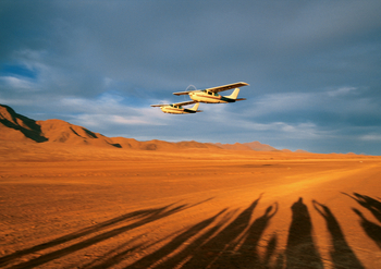 Namib Rand Nature Reserve: Vorbeiflug