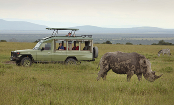 Ol Pejeta Bush Camp: Nashorn und Zebra
