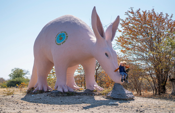 Planet Baobab: Kinderaktivitäten