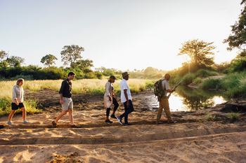 Tanda Tula Safari Camp: Walking Safari