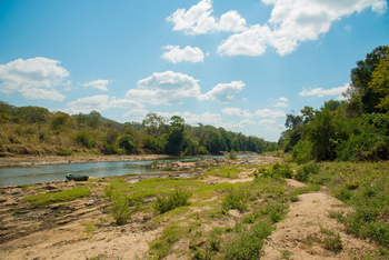 Tongole Wilderness Lodge: Bua River