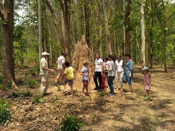 Jim's Jungle Retreat: Termite Walk