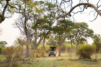 Karangoma Camp: Game Drive
