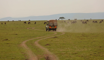 Naboisho Camp: Piste