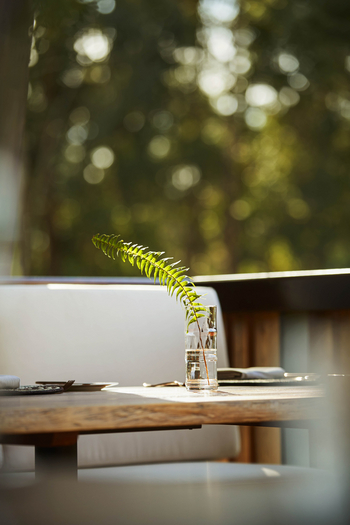 One and Only Gorilla's Nest: Tischdetails