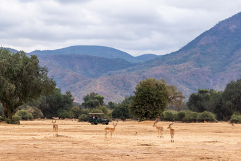 Time + Tide Chongwe Camp: Game Drive