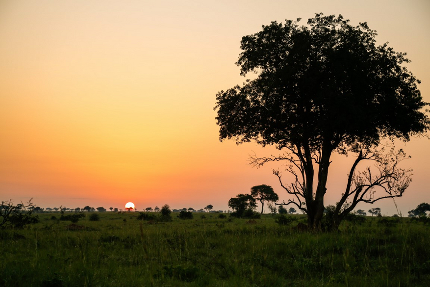 Murchison River Lodge