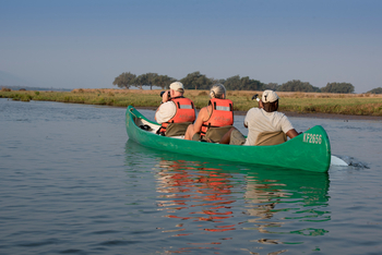 Zambezi Expeditions: Kanufahren im Fluss