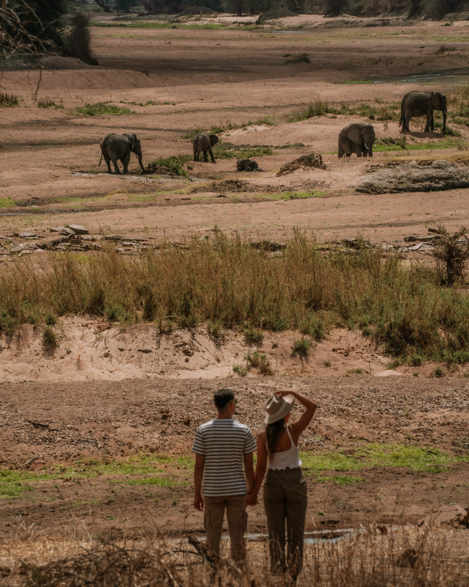 Asanja Ndembo Asanja Ndembo: Elefanten