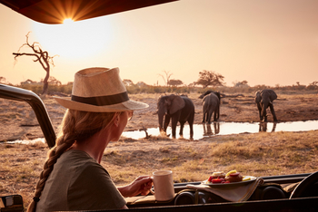 Belmond Savute Elephant Lodge Belmond Savute Elephant Lodge: Kaffee am Wasserloch