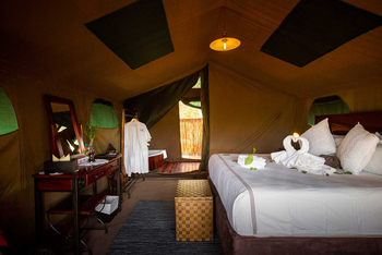 Camp Savuti: Turndown