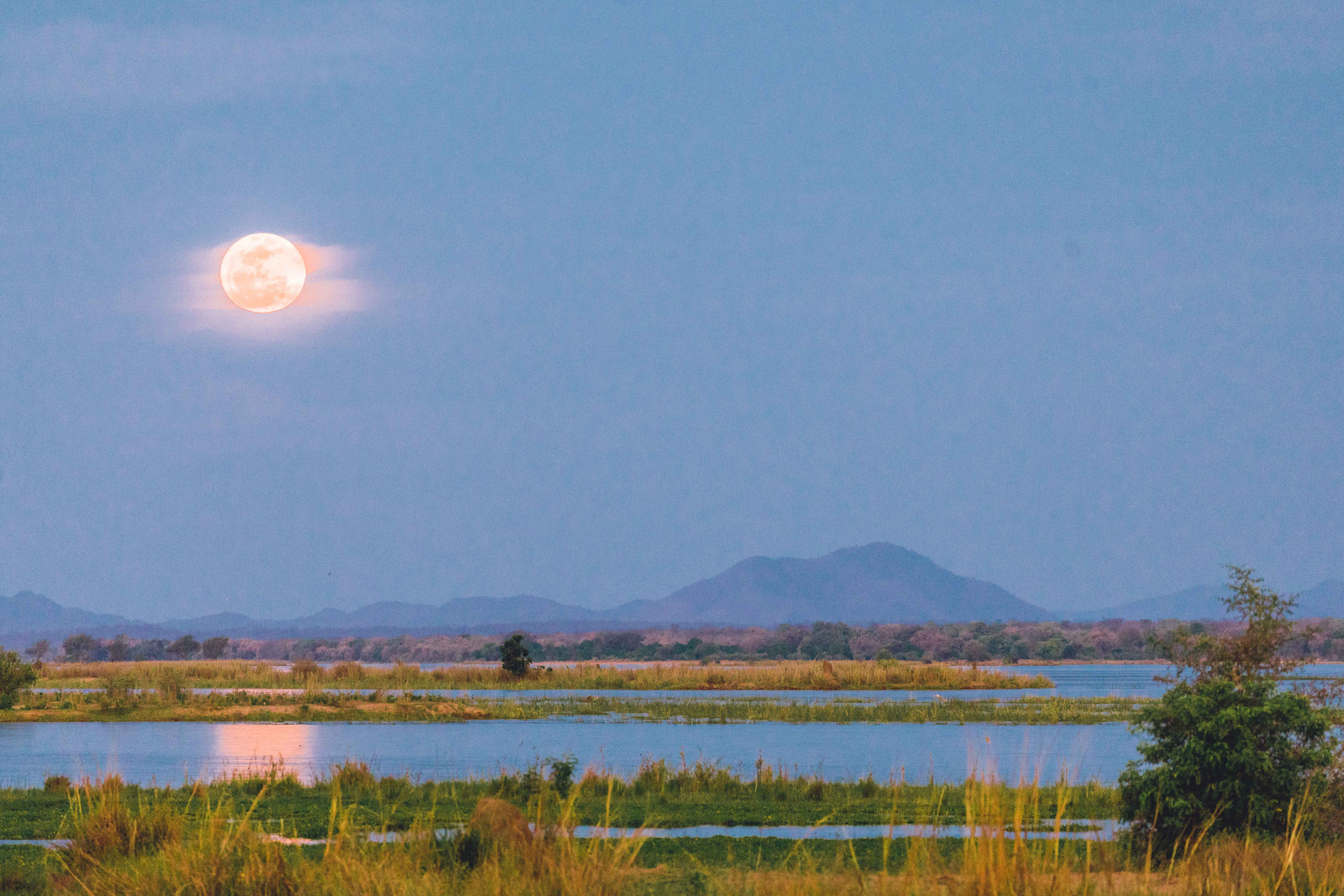 Classic Zambia Safaris Classic Zambia Safaris: Vollmond