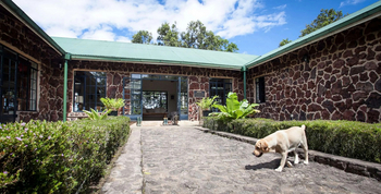 Clouds Mountain Gorilla Lodge: Haupteingang