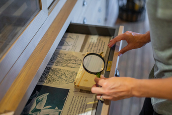 Duma Tau Camp Duma Tau Camp: In der Bibliothek