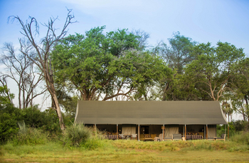 Gomoti Plains Camp: Gästezelte
