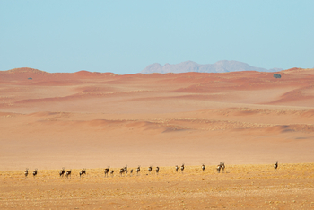 Kwessi Dunes: Landschaft und Tiere