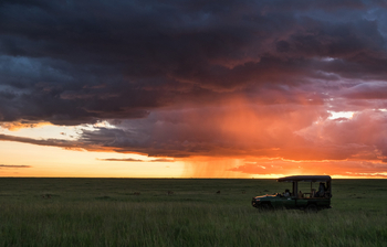 Mara Plains Camp: Evening Drive