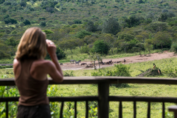 Mihingo Lodge: Beobachtungsunterstand