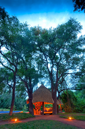 Nkwali Camp: Wege durch das Gelände