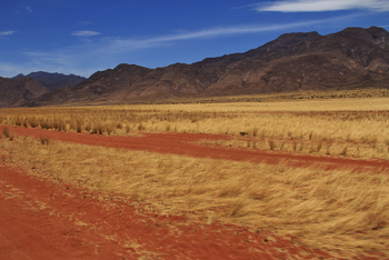 Sanctuary Okahirongo River Camp Sanctuary Okahirongo River Camp: No Title