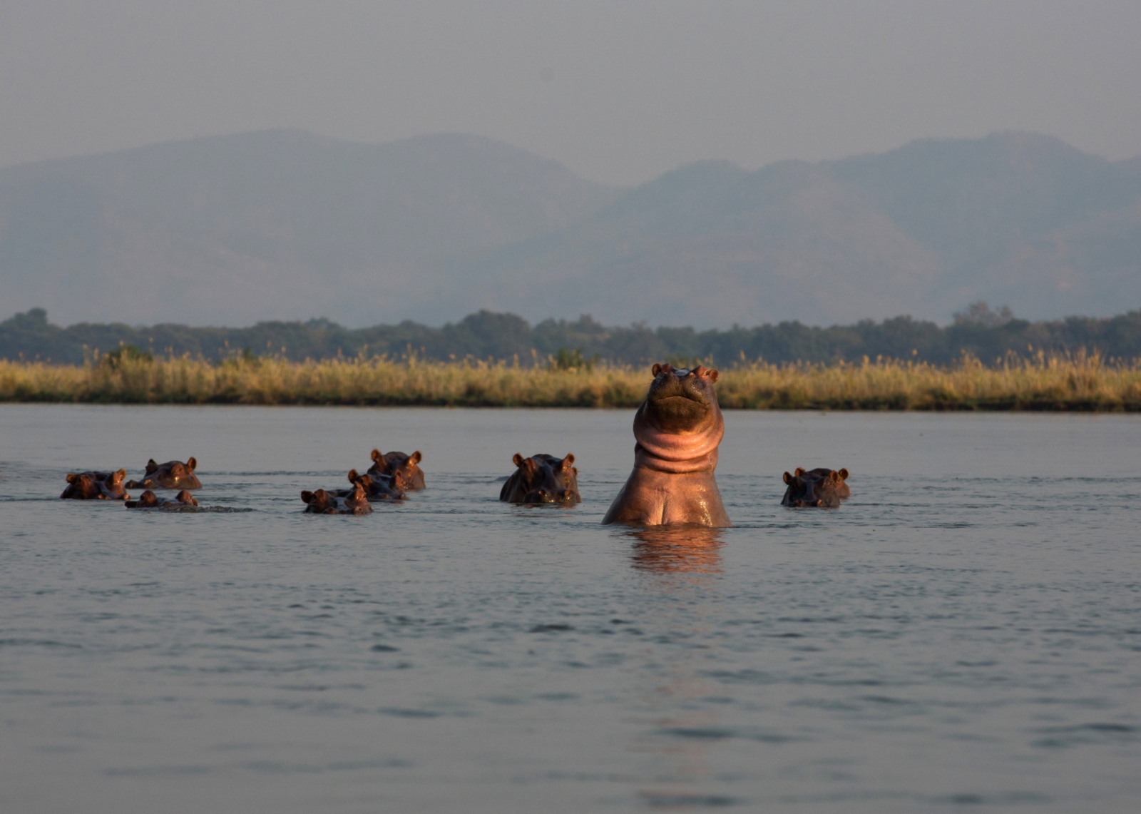 Sapi Explorers Camp Sapi Explorers Camp