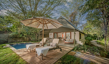 Savanna Lodge: Zwei Liegen auf Holzdeck am privaten Pool