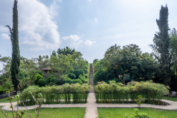 Volcanoes Virunga Lodge: Treppe im Garten