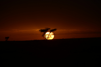 Entim Masai Mara: Sonnenuntergang