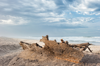 Hoanib Skeleton Coast Camp: Strandrelik