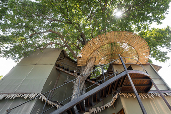 Jackalberry Camp: Perspektive am Turm