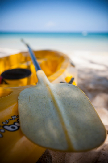 Kinondo Kwetu Kinondo Kwetu: Paddel