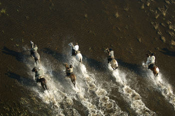 Macatoo Camp: Galopp durchs Wasser