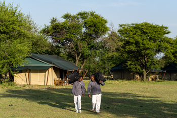Mara Under Canvas: Mitarbeiter tragen Gepäckstücke