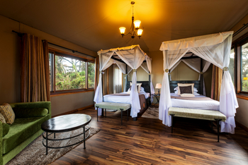 Ngorongoro Lion's Paw: Executive Twin Suite