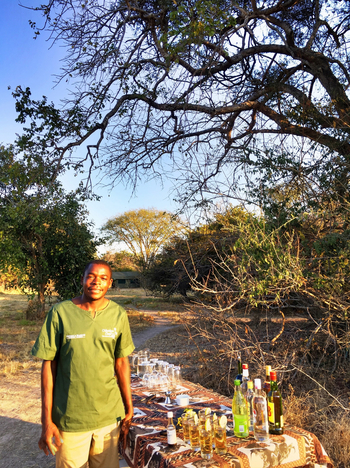 Ntemwa Busanga Bushcamp Ntemwa Busanga Bushcamp: Sundowner-Setup