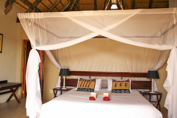 Okutala Lodge: Doppelbett
