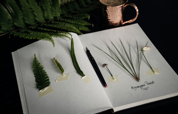 One and Only Nyungwe House: Pflanzen