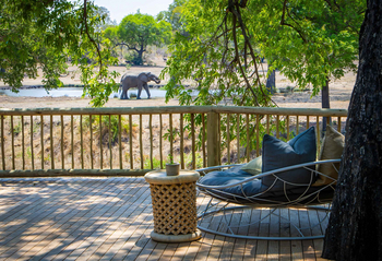 Sabi Sabi Bush Lodge: Lounge mit Blick auf ein Wasserloch
