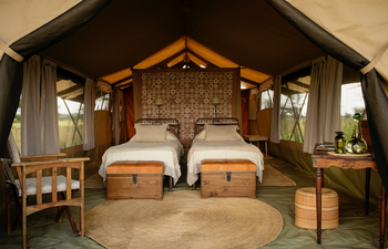 Serengeti Safari Camp: Einzelbetten