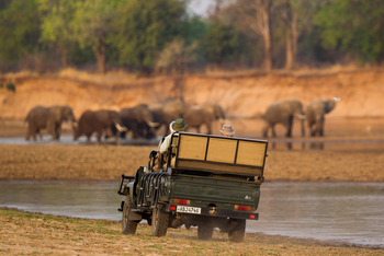 Time + Tide South Luangwa Time + Tide South Luangwa: Game Drives