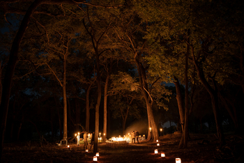 4 Rivers Camp 4 Rivers Camp: Bush Dinner