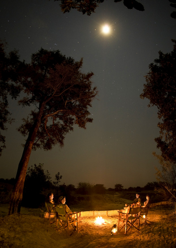 Chikoko Tree Camp: Skorpion am Himmel