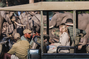 Classic Zambia Safaris Classic Zambia Safaris: Game Drive