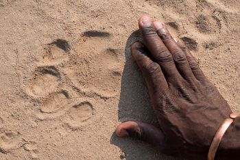 Kanga Camp: Hand im Sand