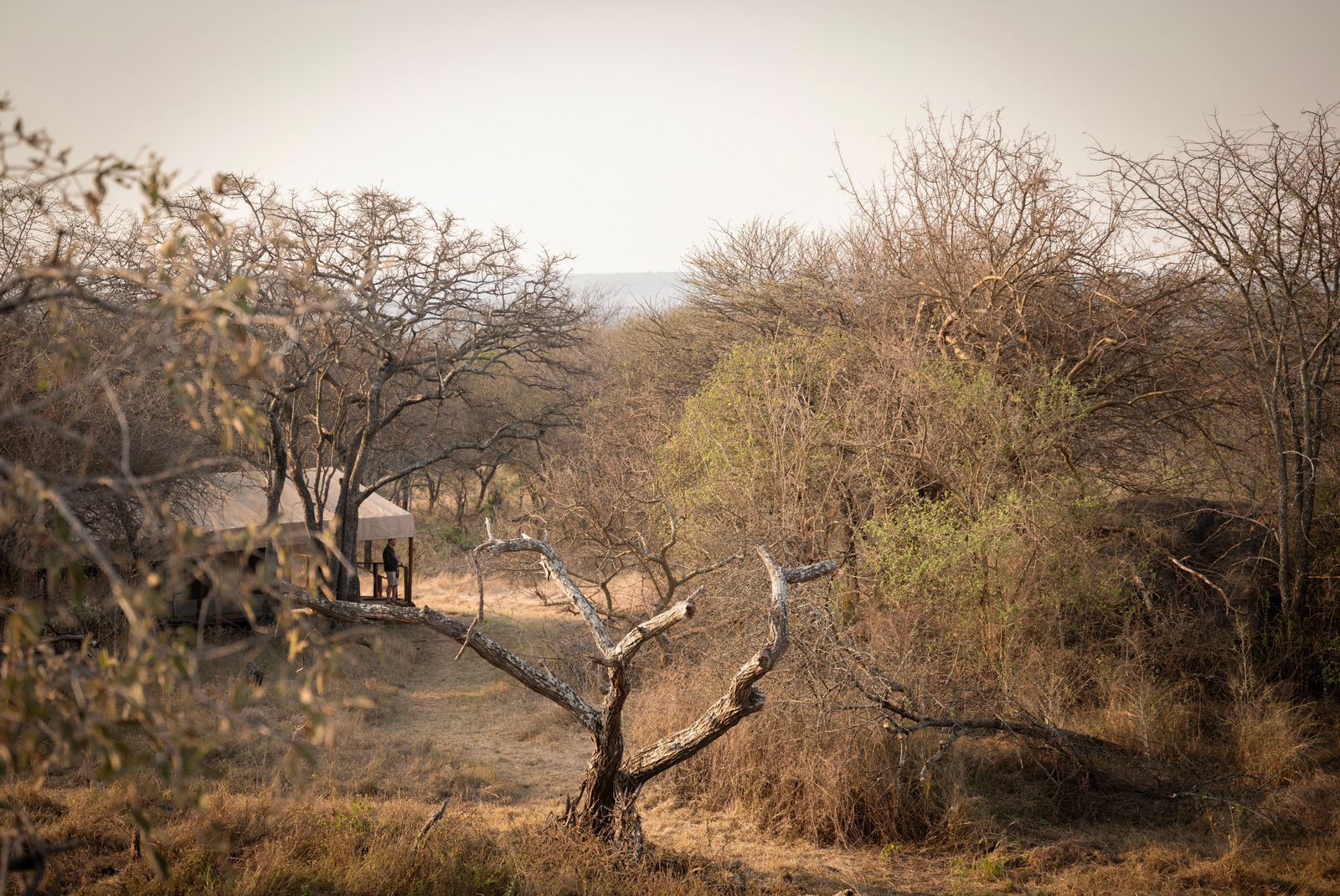 Kusini Serengeti Kusini Serengeti: Gästezelt