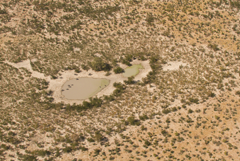 Lebala Camp Lebala Camp: Wasserloch