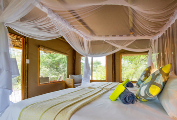 Leopard Plains: Bett mit Moskitonetz