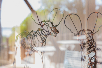 Little DumaTau: Wildhunde aus Wildererdrahtschlingen