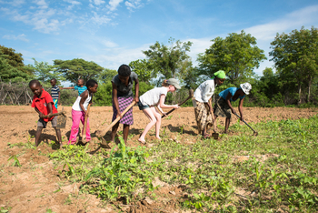 Little Makalolo Camp Little Makalolo Camp: Feldarbeit
