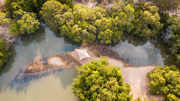 Mukambi Fig Tree Bush Camp: Camp von oben